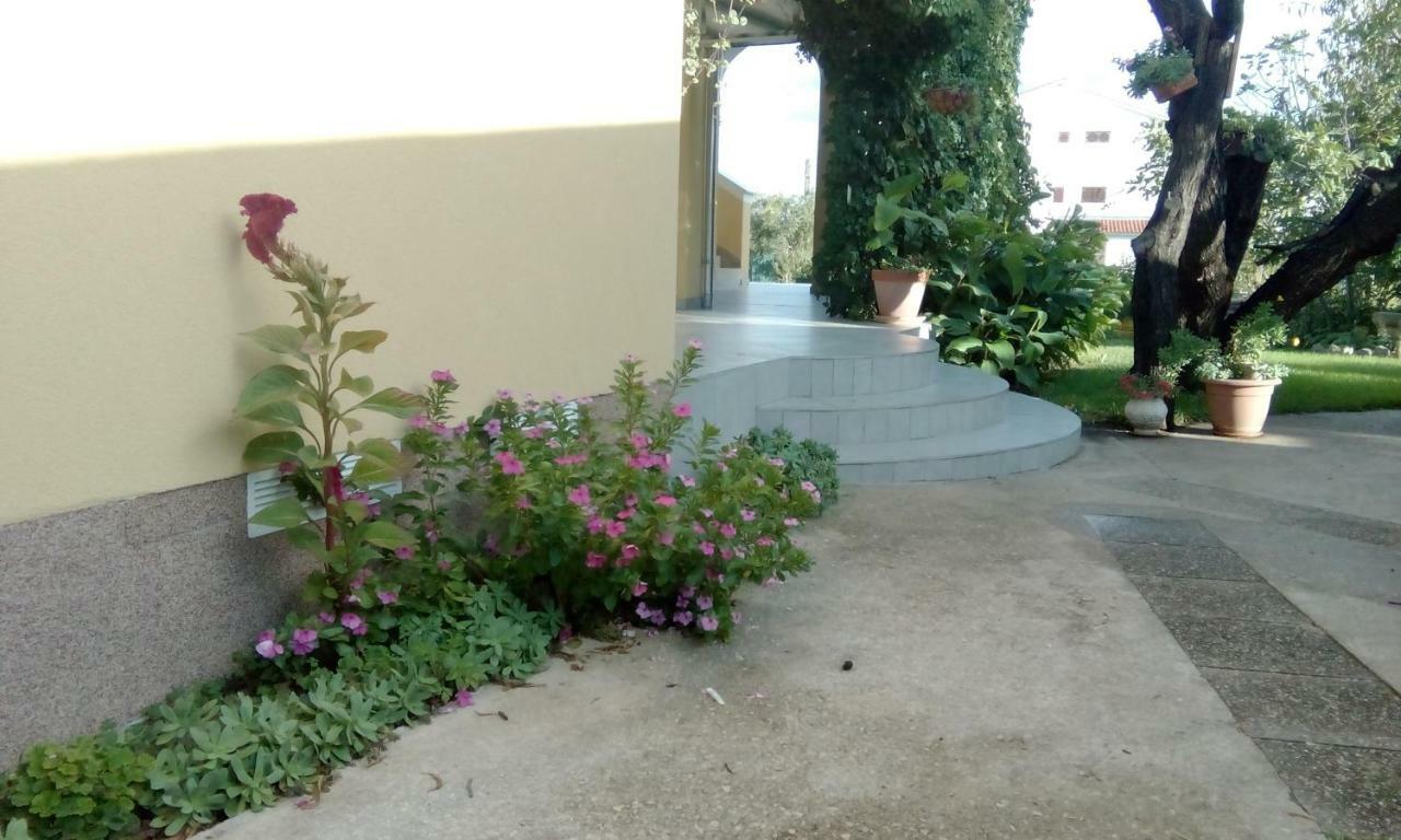 Apartments Meri Vodice Bagian luar foto